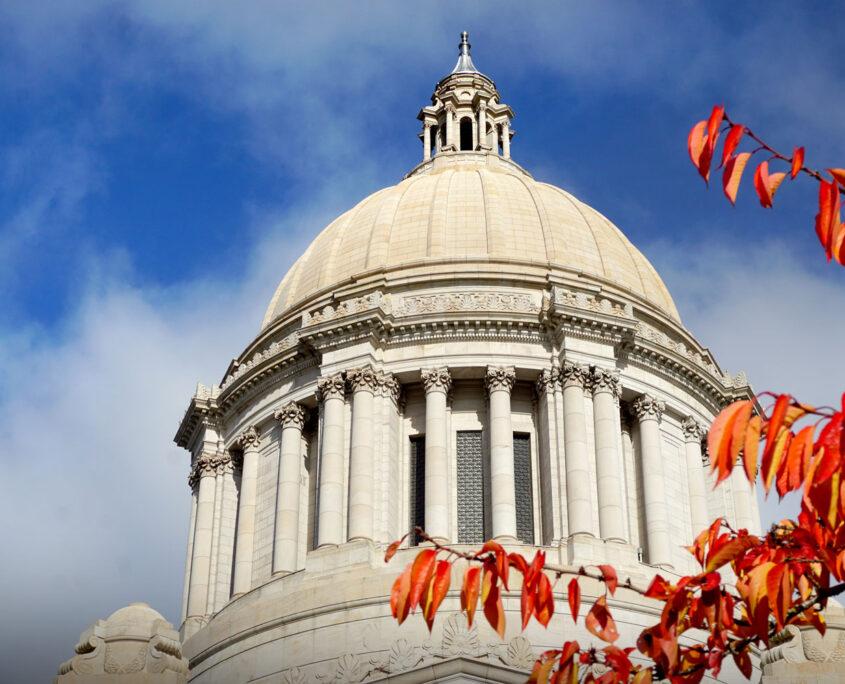 Capitol Dome in the Autumn