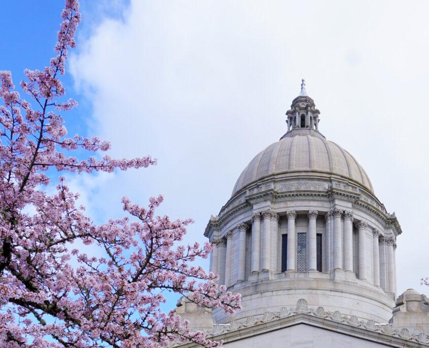 capitol dome in the spring